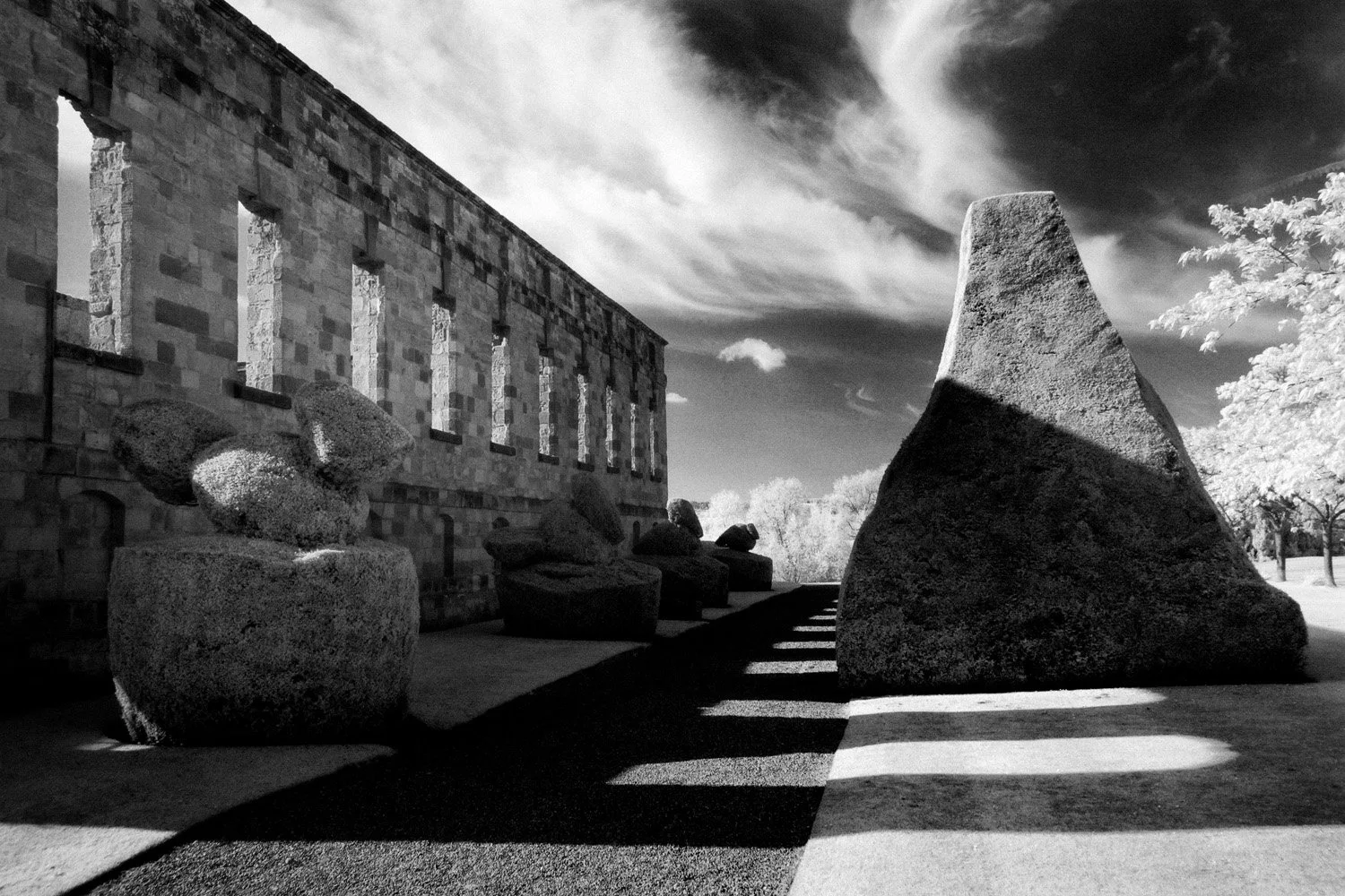 Black and white photo of the ruins at Newborough Priory  with multiple windows, large sculpted topiary bushes  in front, casting shadows on the ground with leafless trees in the background, under a cloudy sky.
