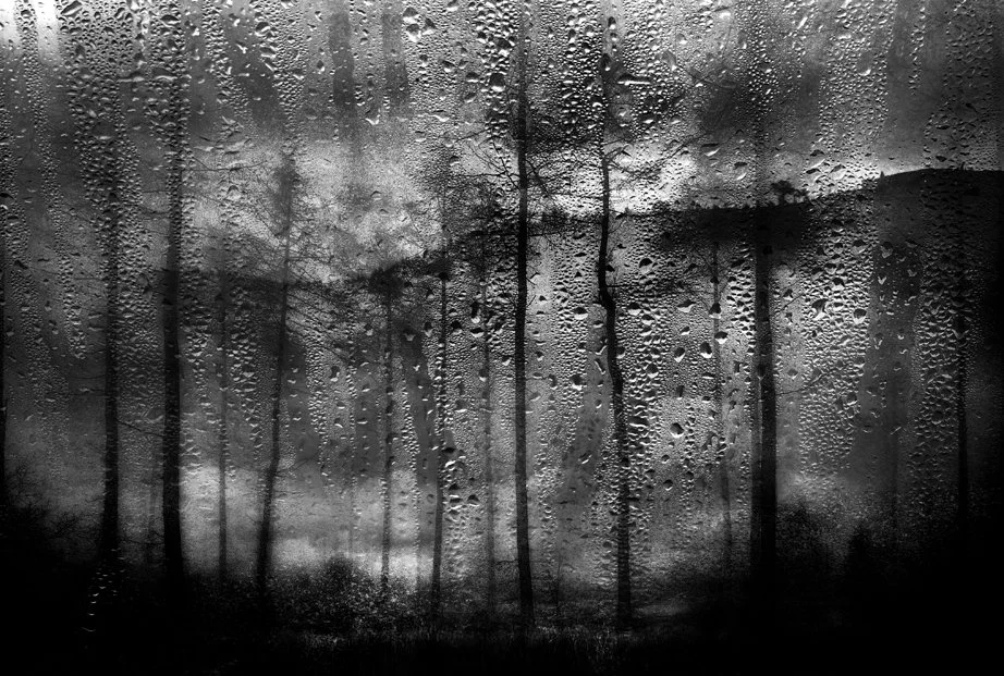 Rain droplets on a glass window with a blurry, dark forest scene outside