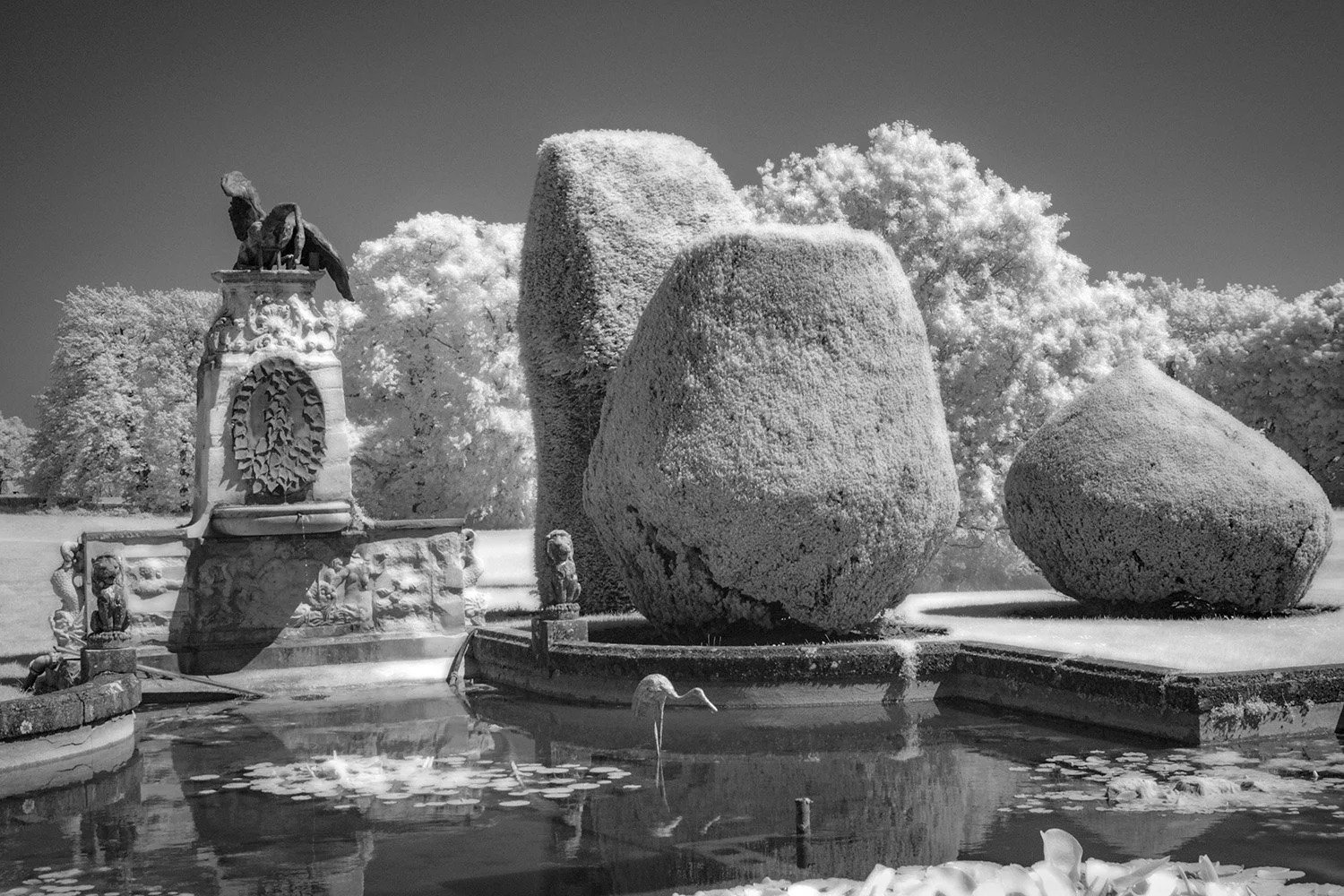 Black and white photo of a decorative fountain with large, rounded sculpted stones and ornate statues, surrounded by clipped topiarybushes.