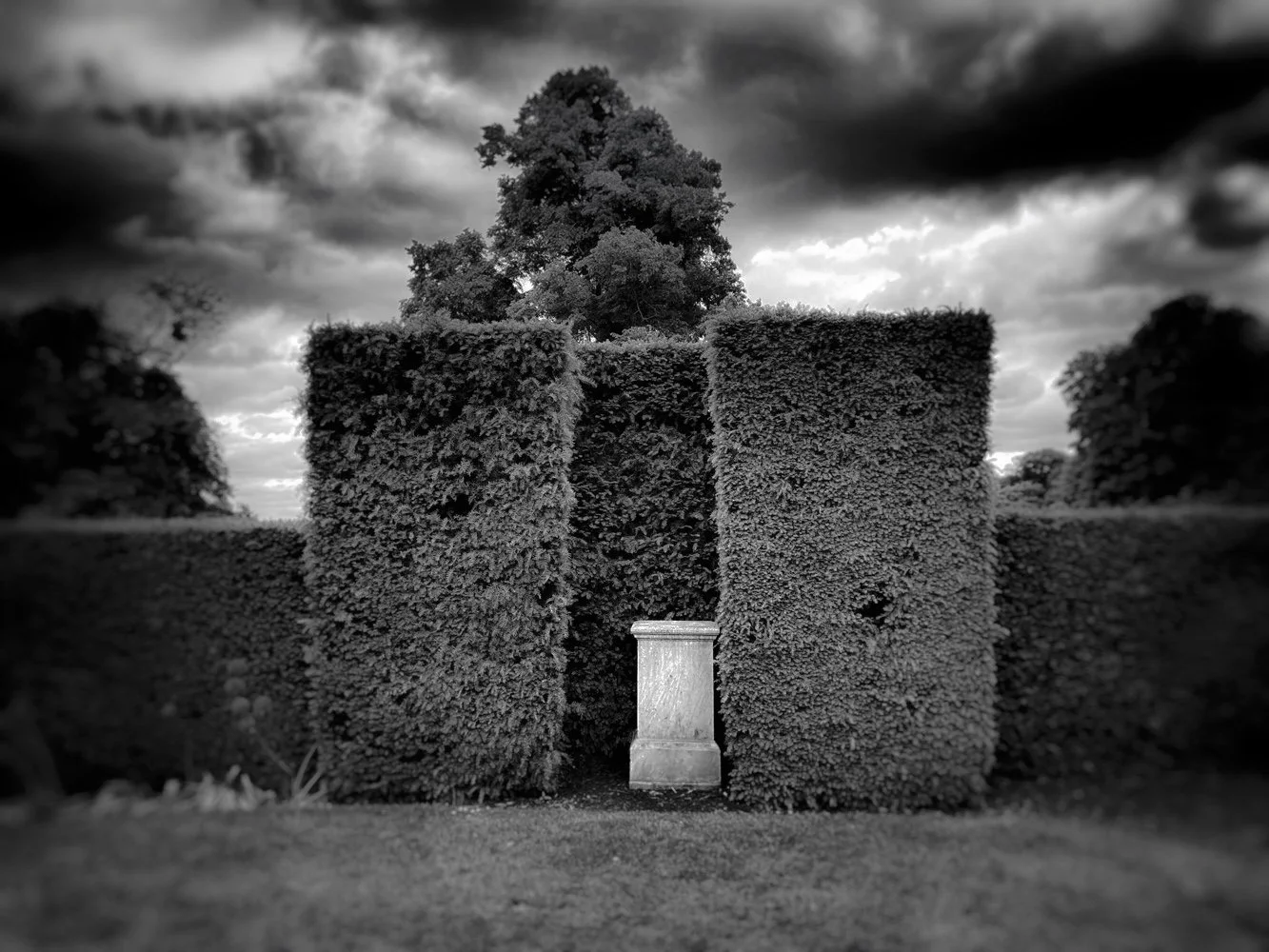 Black and white photo of large, rectangular hedges with an empty stone plinth in between, under a cloudy sky.