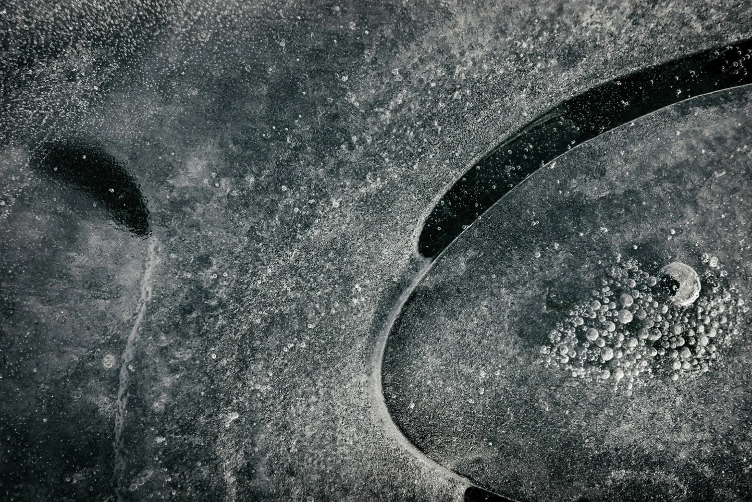 Close-up of a wet, textured surface with bubbles and water droplets, 