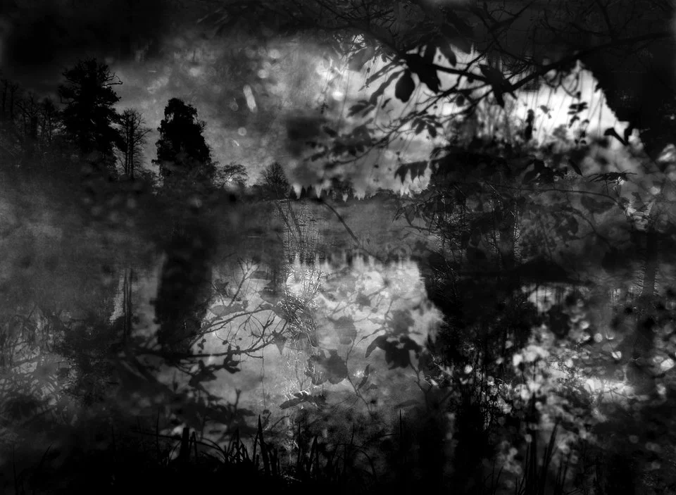 Black and white photo of a lake with trees and dense foliage in the background, reflections on the water's surface, and overhanging branches and leaves in the foreground.