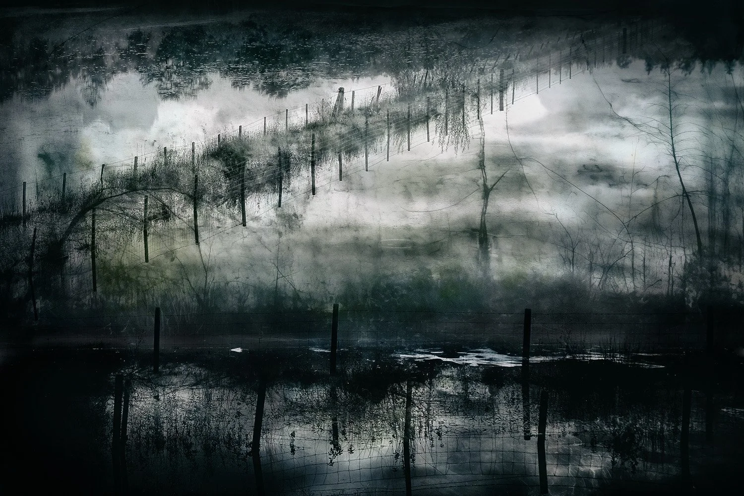 A flooded area with a barbed wire fence, dead trees, and mist or fog creating a moody, somber atmosphere.