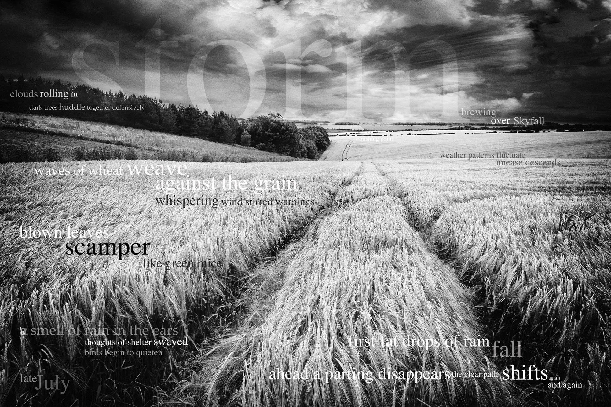 Black and white photograph of a rural landscape with wheat fields, trees, and a cloudy sky. Overlaid with poetic words about weather and nature.