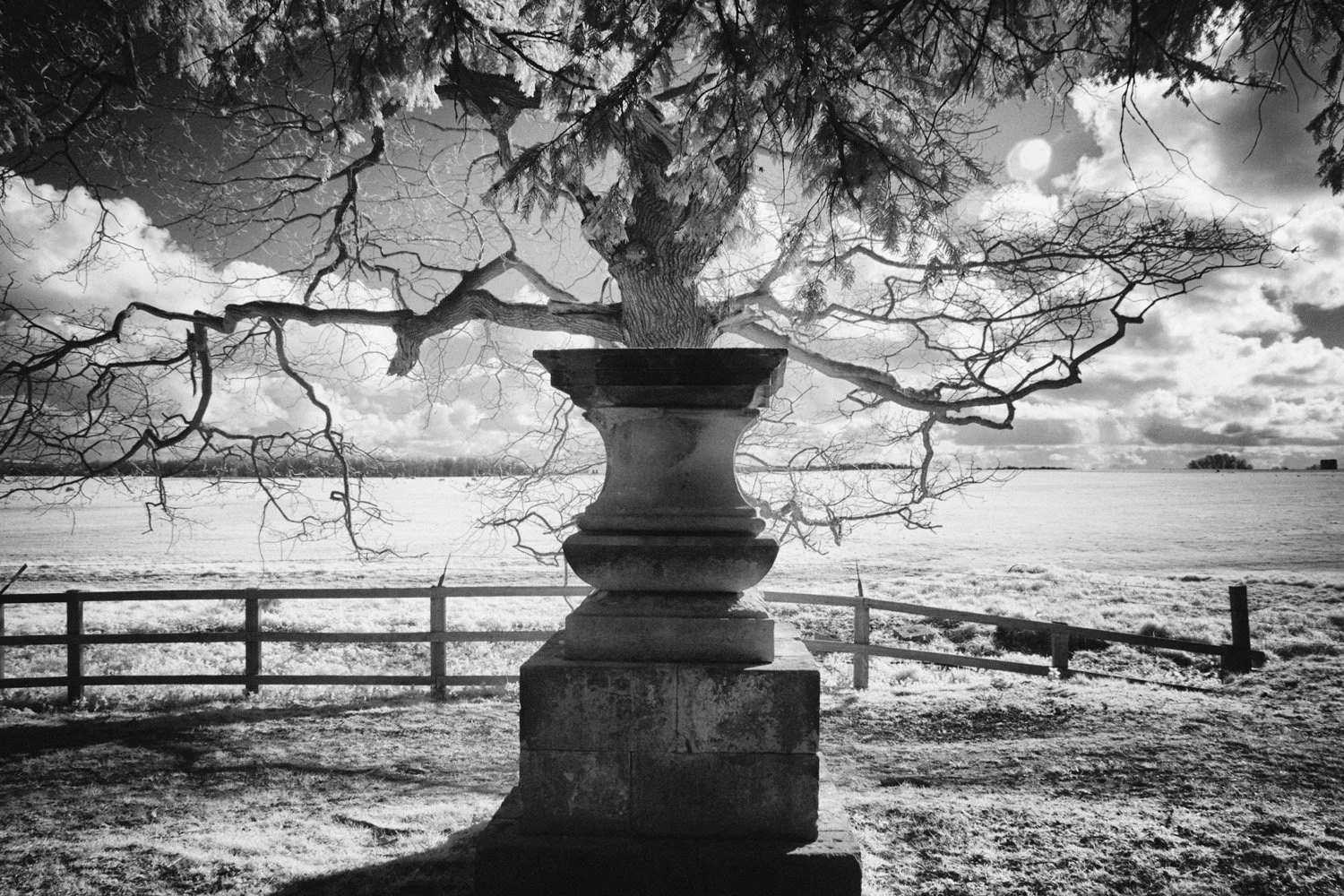 Black and white photo of a leafless tree behind a large stone urn on a pedestal, overlooking a body of water. Fence surrounds the area, and the sky is partly cloudy with the sun partially obscured.