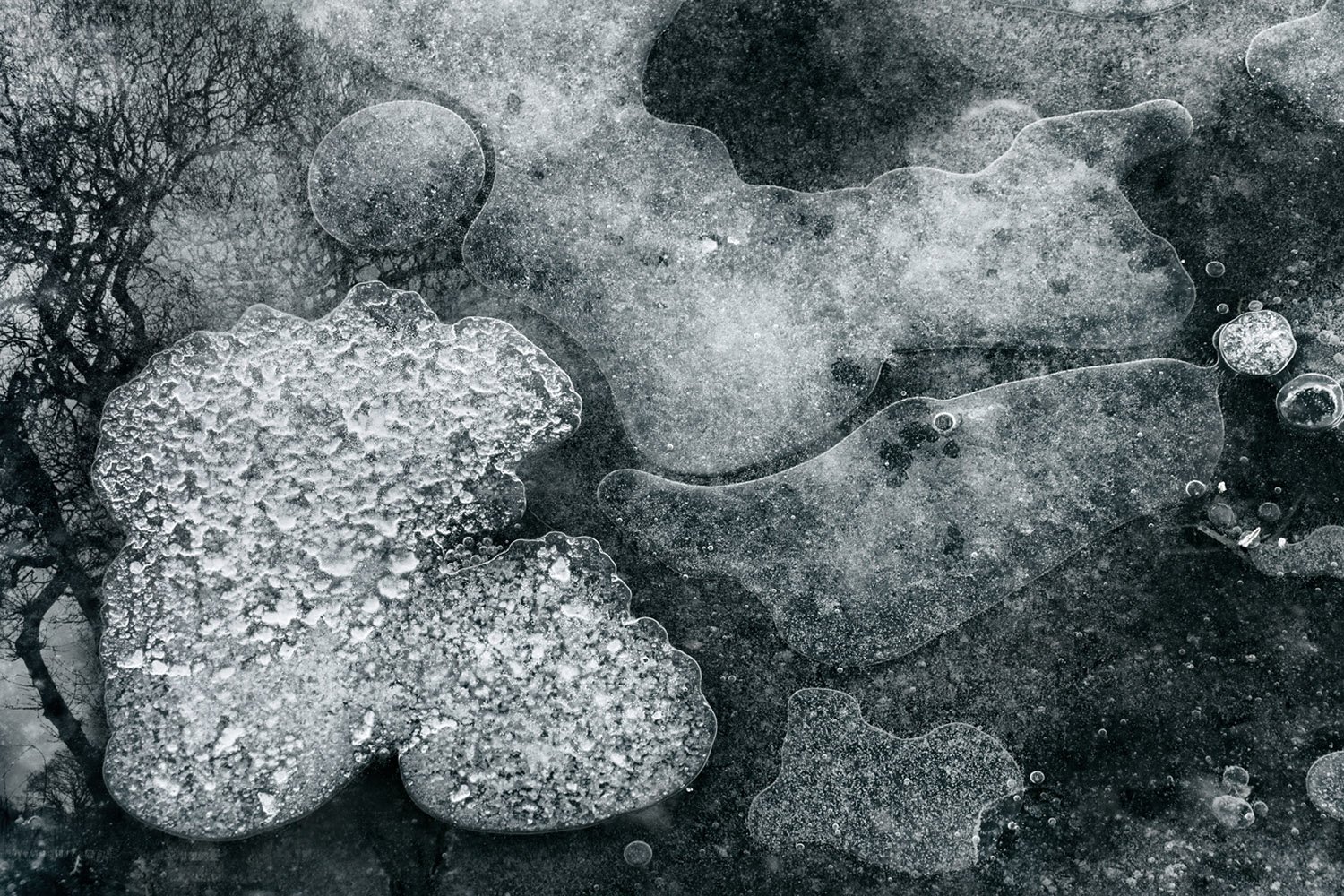 Close-up of icy puddles and frozen water on a dark surface, with reflections of bare tree branches.