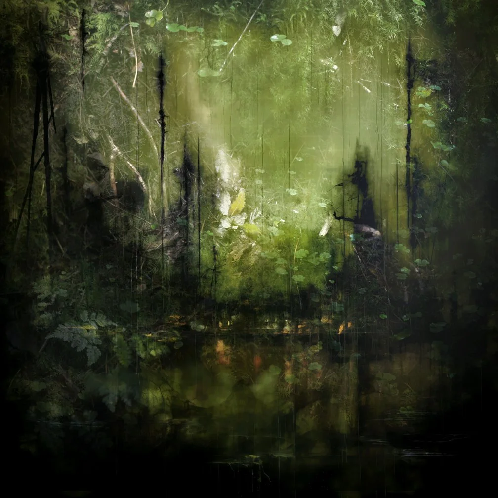 A lush, green forest scene with dense foliage, trees, and a small waterfall or stream in the center, creating a serene natural environment.