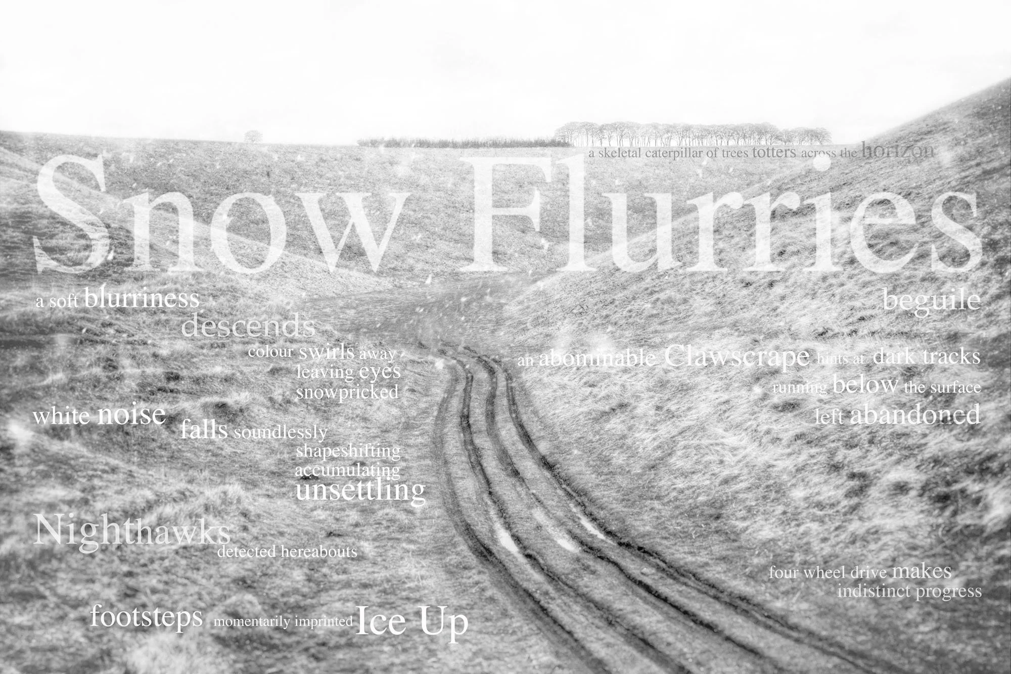 A black and white landscape photo of a barren field with tire tracks, overlaid with poetic words describing a winter scene, including 'Snow Furies,' 'blurriness,' 'descent,' 'white noise,' and 'Ice Up,' among others.