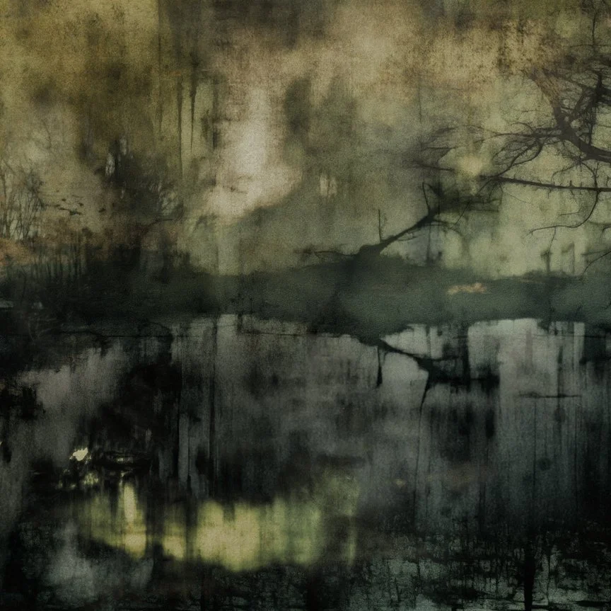 Abstract dark and moody landscape with trees and water, featuring reflections and a foggy atmosphere.