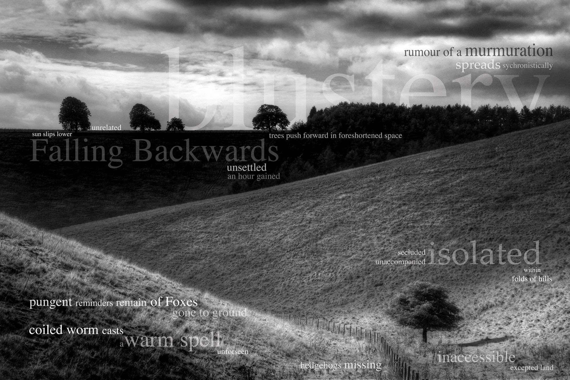 Black and white photo of rolling hills with a line of trees in the distance under a cloudy sky, overlaid with various words and phrases in different sizes and fonts, such as 'rumour of a murmuration,' 'Falling Backwards,' 'unrelated,' 'abandoned,' 'i