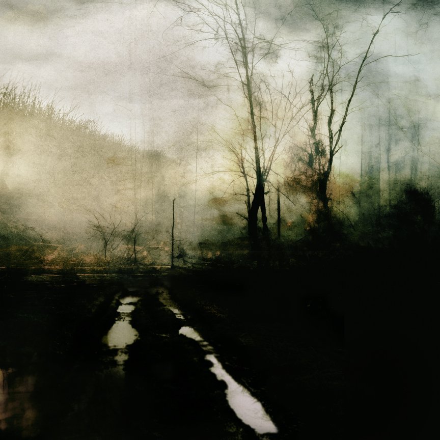 A misty, dark landscape with bare trees and a dirt road with puddles in the foreground.