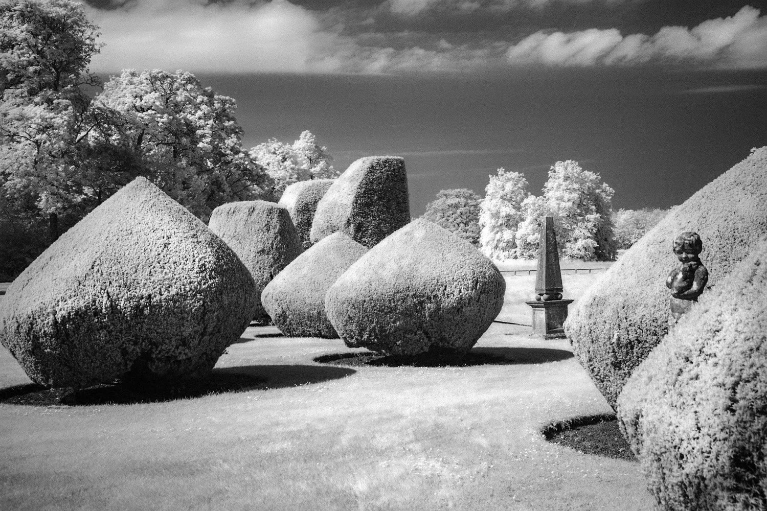 A black and white photo of a landscaped garden ,, featuring large, rounded and angular Topiary bushes, trees in the background, a decorative obelisk, and a small cherub statue .