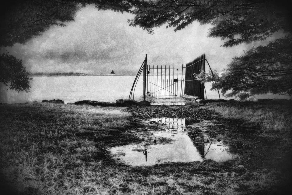 Black and white photo of an old metal gate at Castle Howard, with trees on either side and puddles on the ground reflecting the sky and gate, Pyramid on St Annes hill in the background