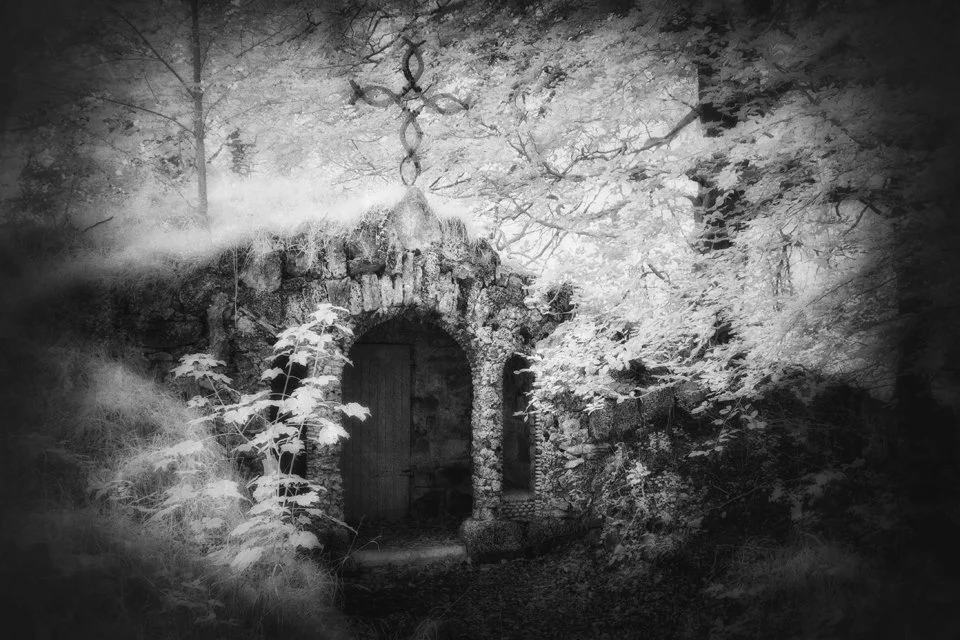 An old stone archway in a forest surrounded by trees and foliage, with light filtering through the branches, creating a mysterious and eerie atmosphere.