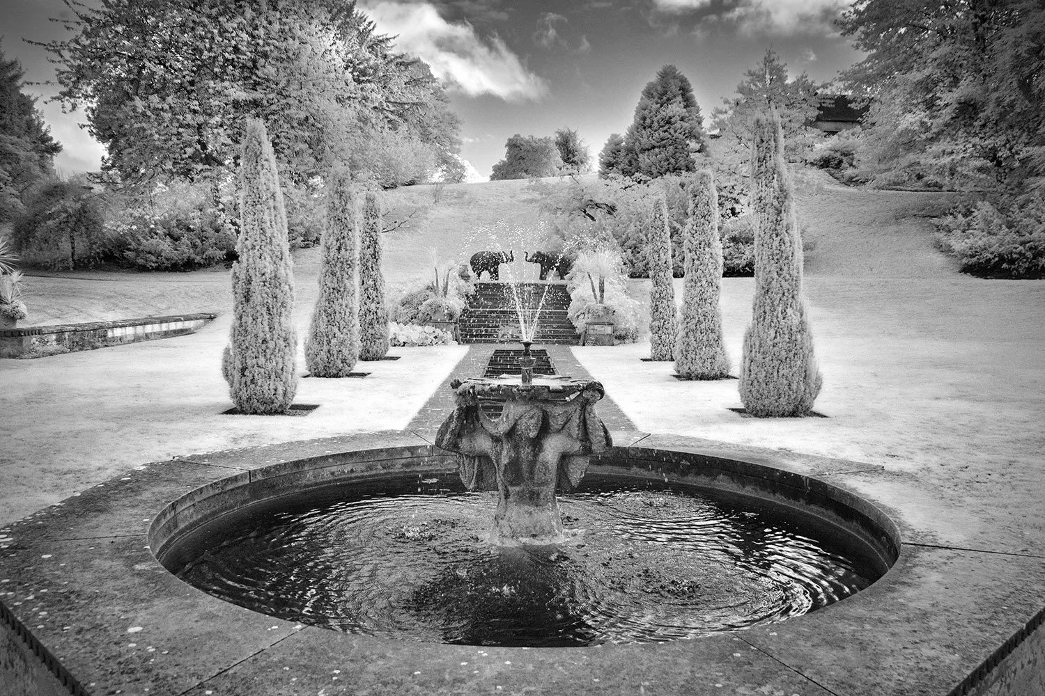 Black and white photo of a landscaped garden with a fountain in the foreground, a series of steps leading up to a pond with a water feature, surrounded by tall, narrow trees, and hills in the background.
