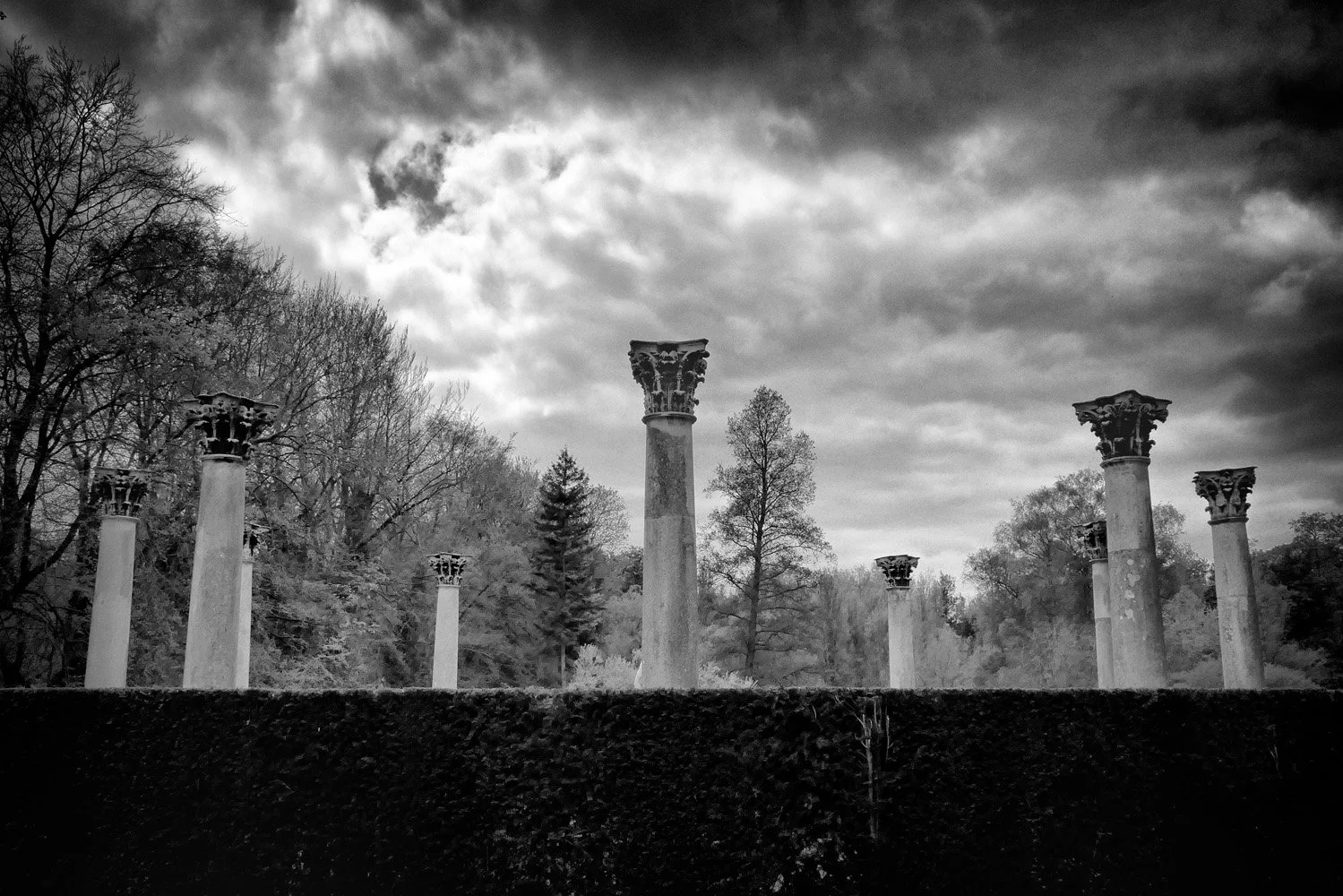 Black and white photograph of ancient Roman-style columns in a wooded area under a cloudy sky.