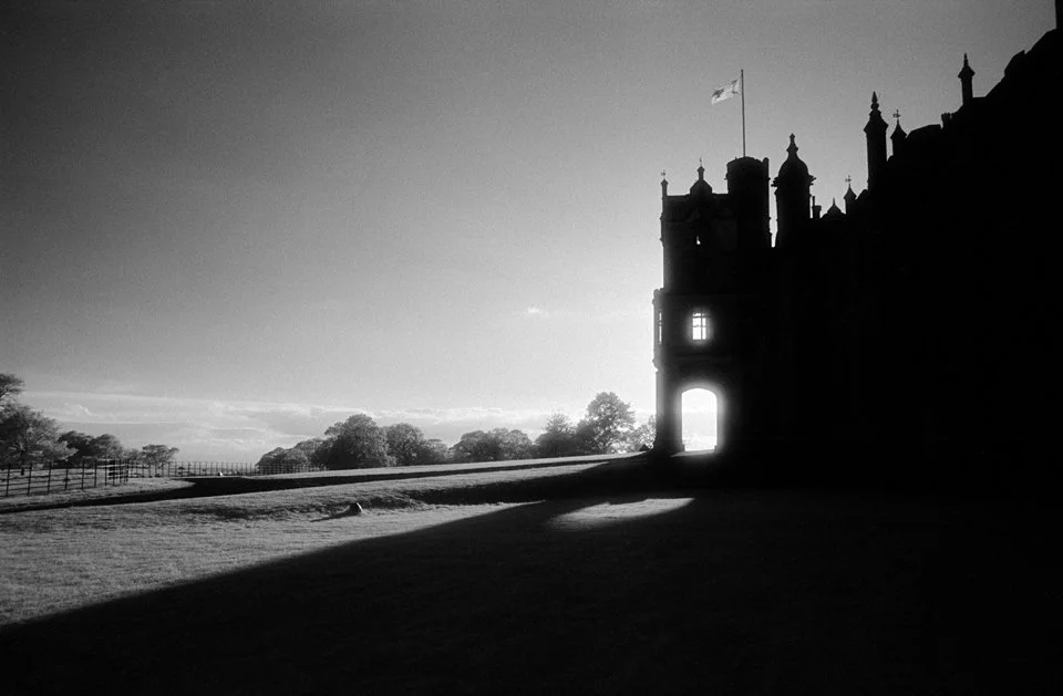 Silhouette of a castle with a flag flying on top, illuminated by sunlight, with trees and a fence in the background.