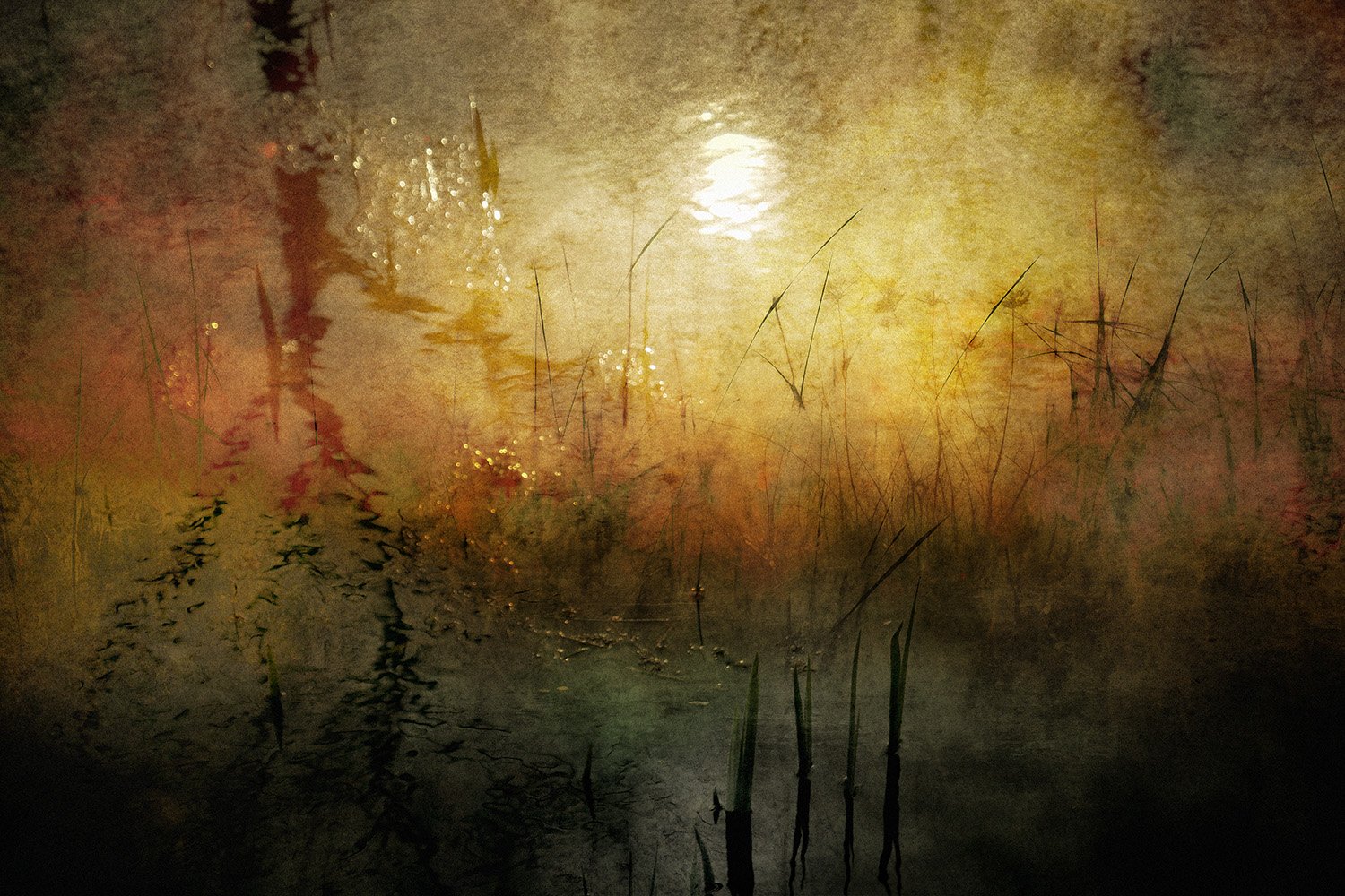 A misty lake scene at sunset with tall grasses and reflection of the sun on the water, creating a warm glow.