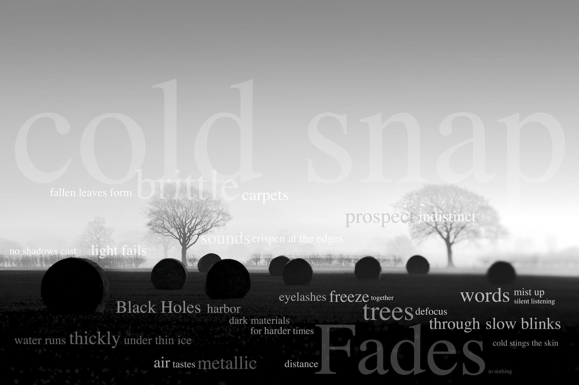A black-and-white landscape with trees and floating words in varying sizes and shades of gray. The words include 'cold snap,' 'brittle,' 'carpets,' 'prospect,' 'indistinct,' 'sound,' 'crispener at the edges,' 'no shadows cast,' 'light fails,' 'Black 