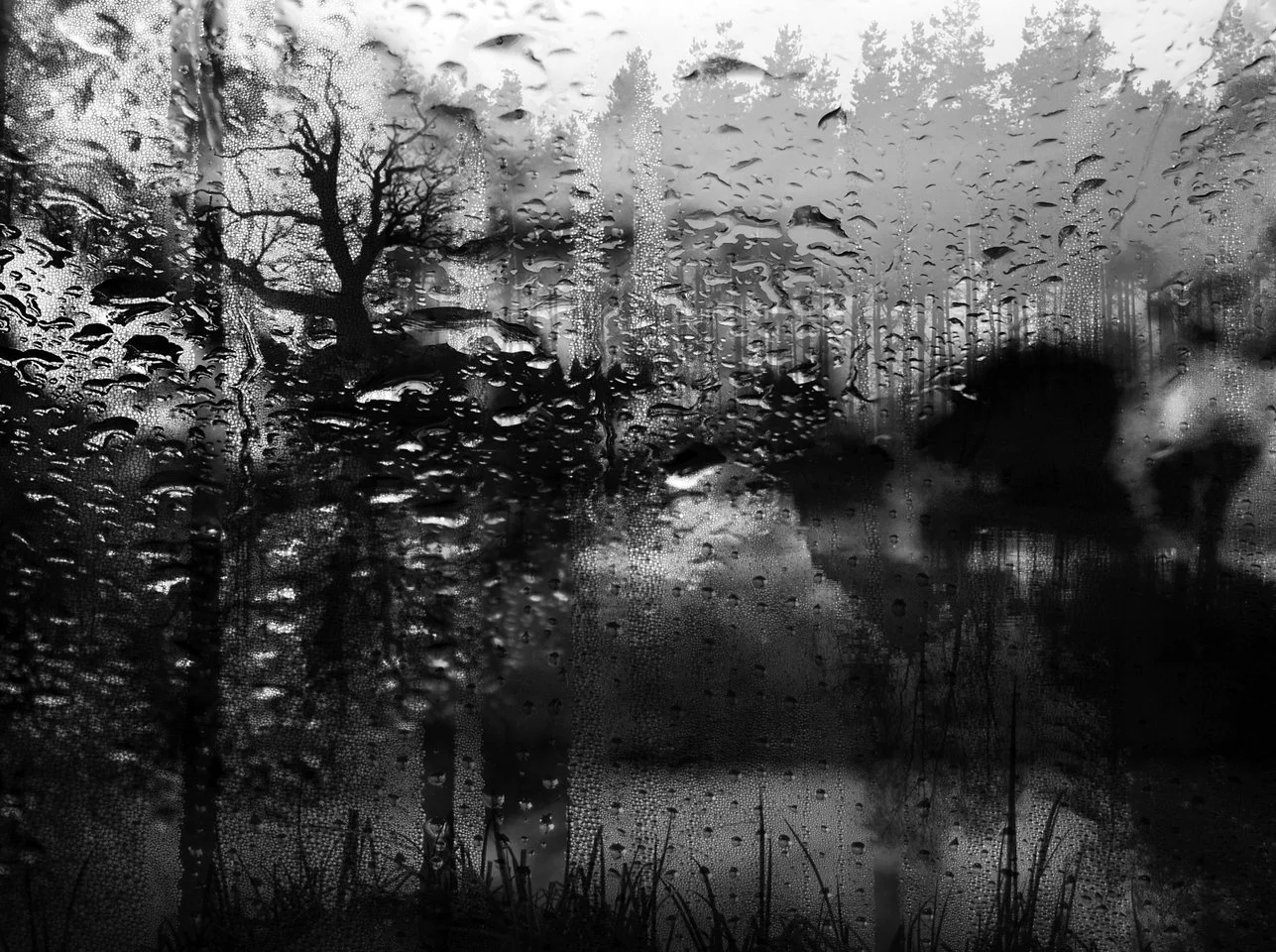 A black and white photo taken through a window covered in rain droplets, showing a blurred view of trees and a cloudy sky outside.