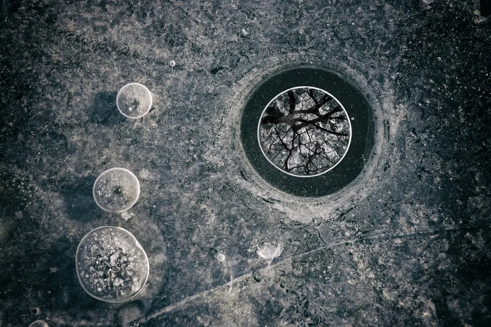 An Icescape collage with a reflection of tree branches in the opening.