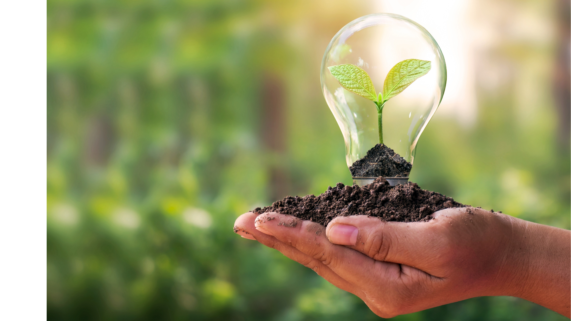 A hand holding soil with a small plant growing inside a lightbulb, symbolizing eco-friendly growth and sustainable development.