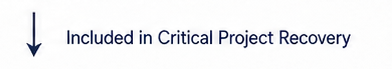 Included in Critical Project Recovery