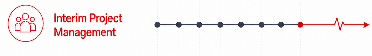 Interim Project Management timeline with project milestones
