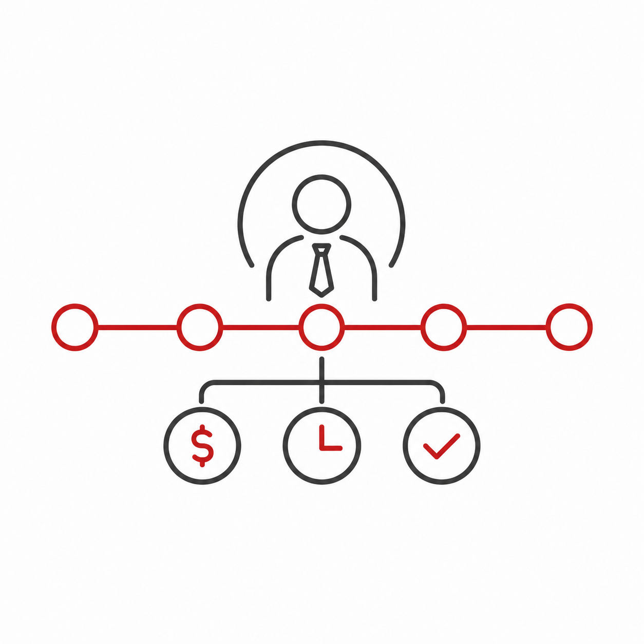 Project leader managing milestones, cost, timing and quality