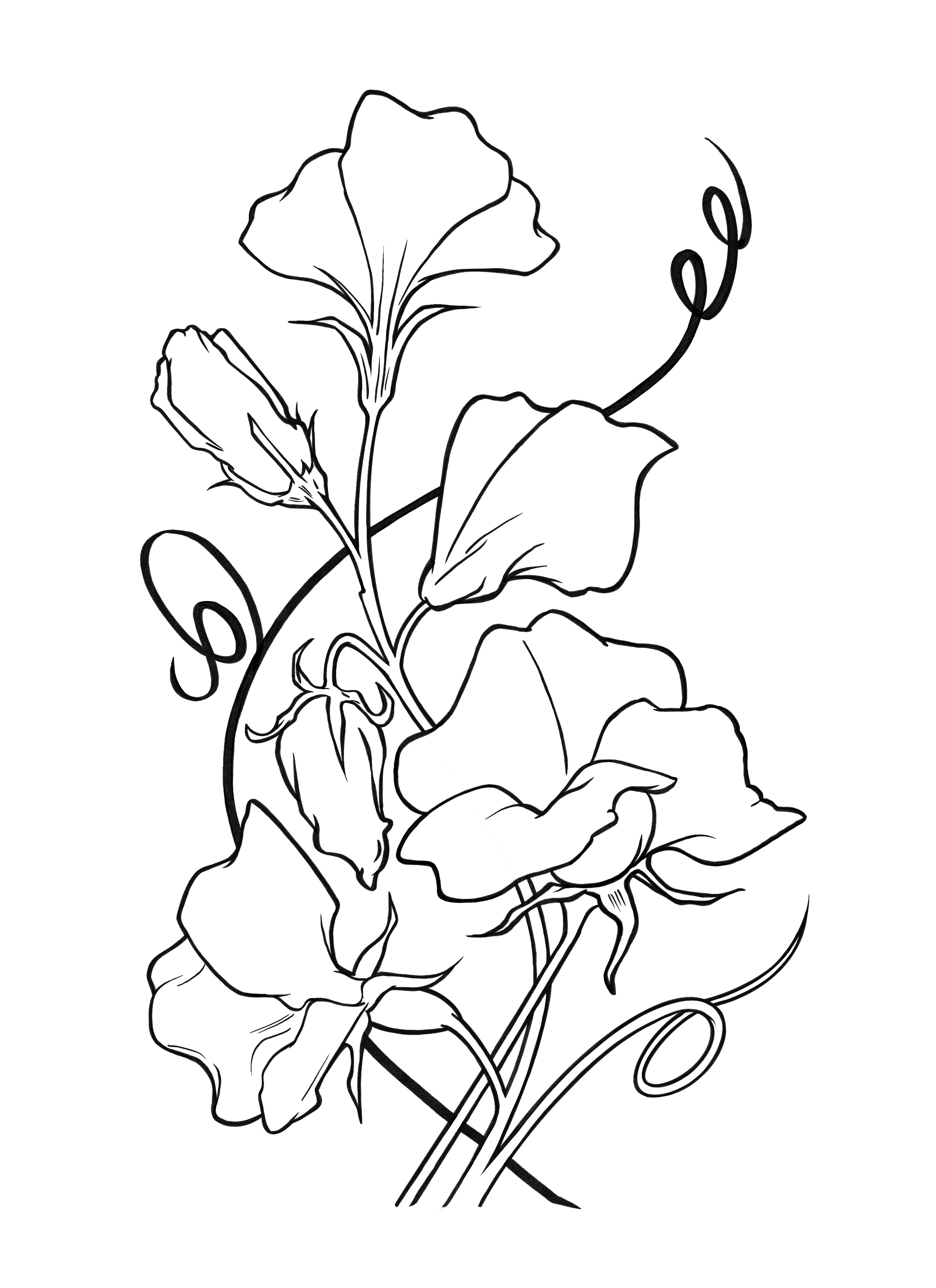 IMG_7213.png