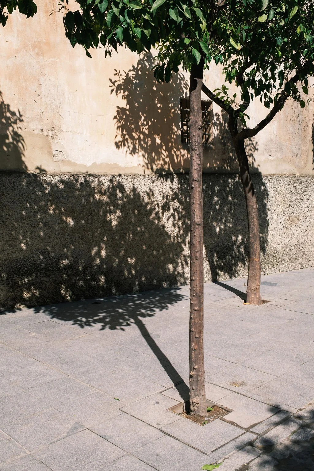 jerez-28.jpg