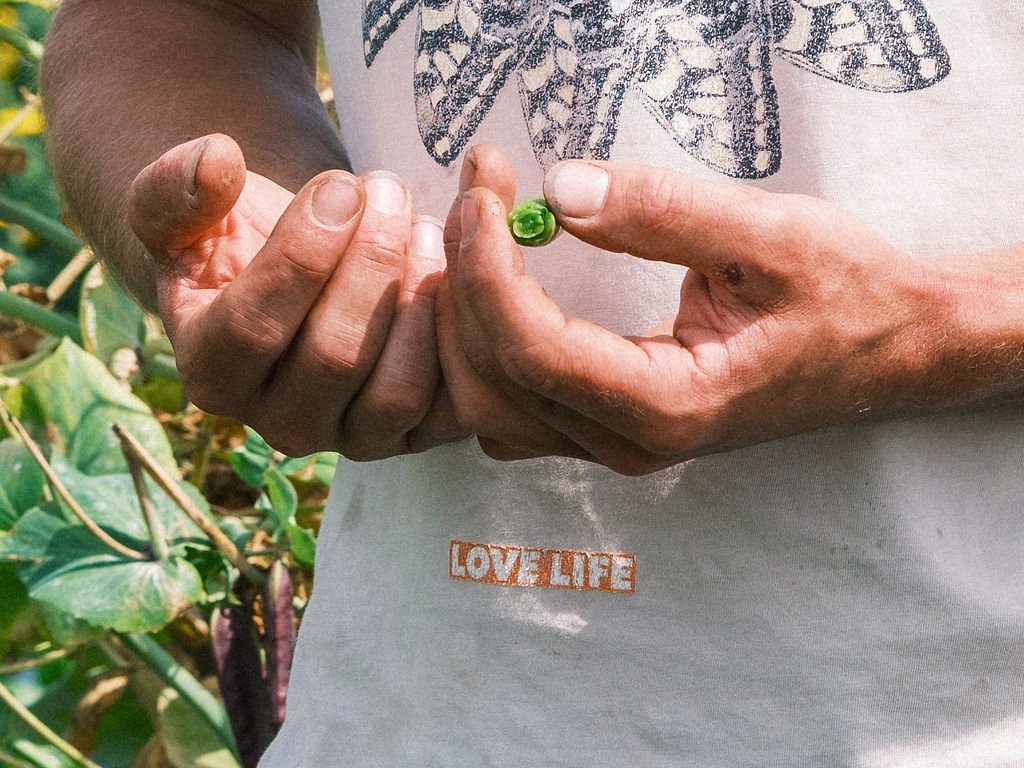 GoodhLife-19.jpg
