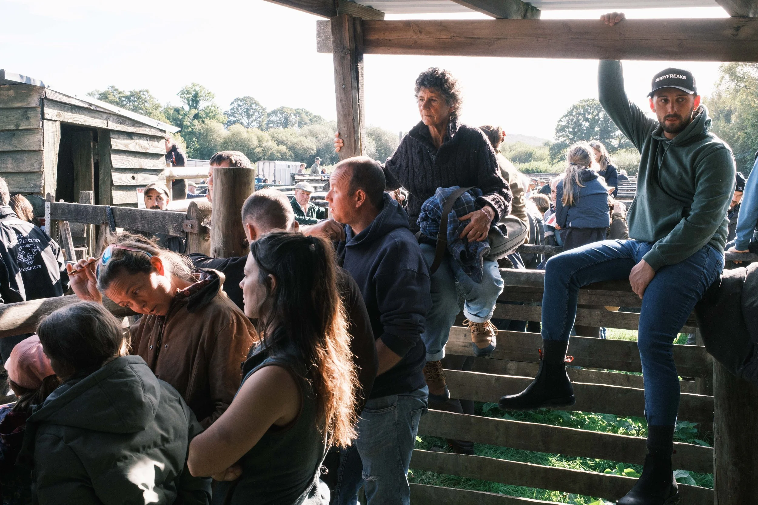Pony Sale Chagford 2026 10 08-18.jpg