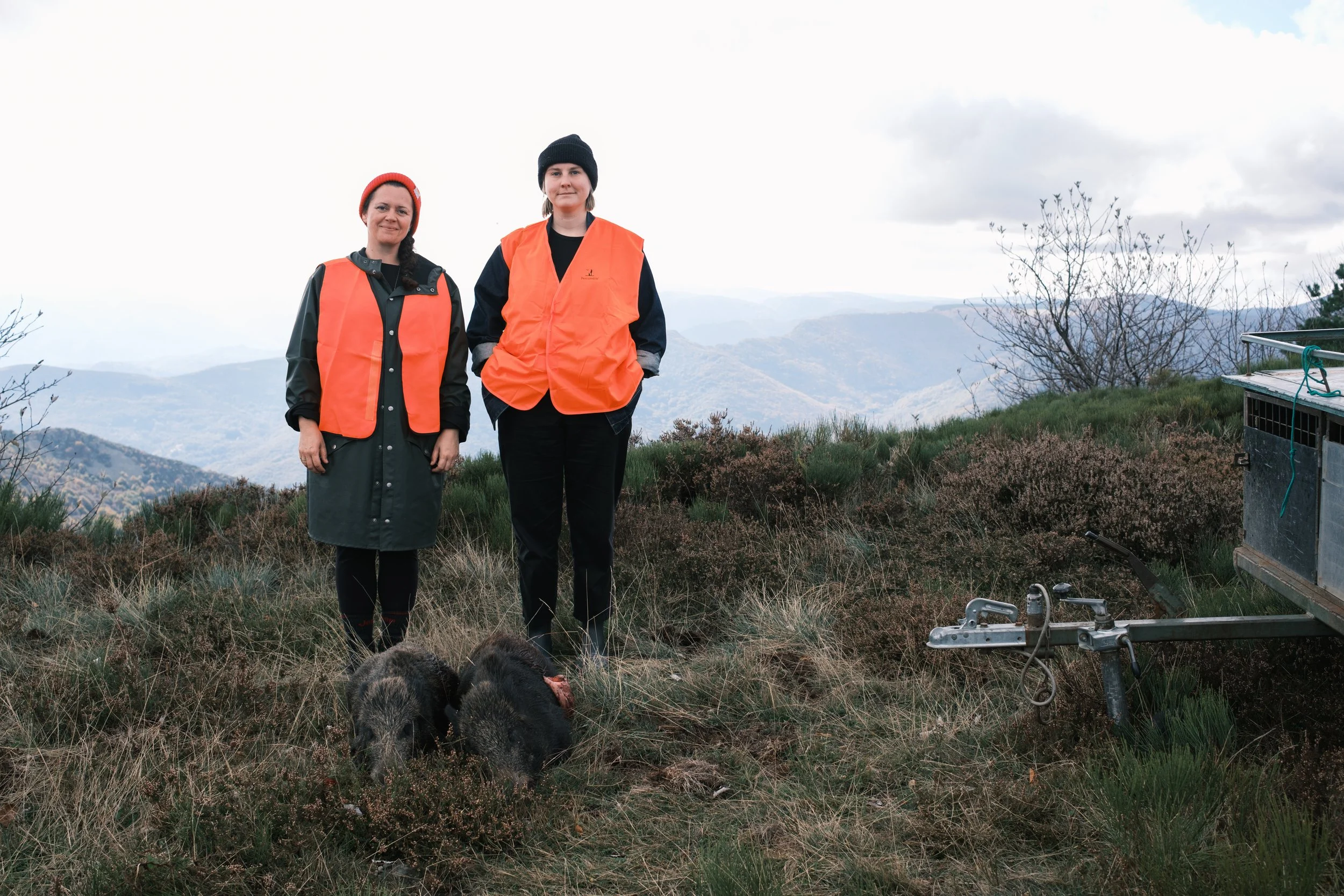 Wild Boar Hunting