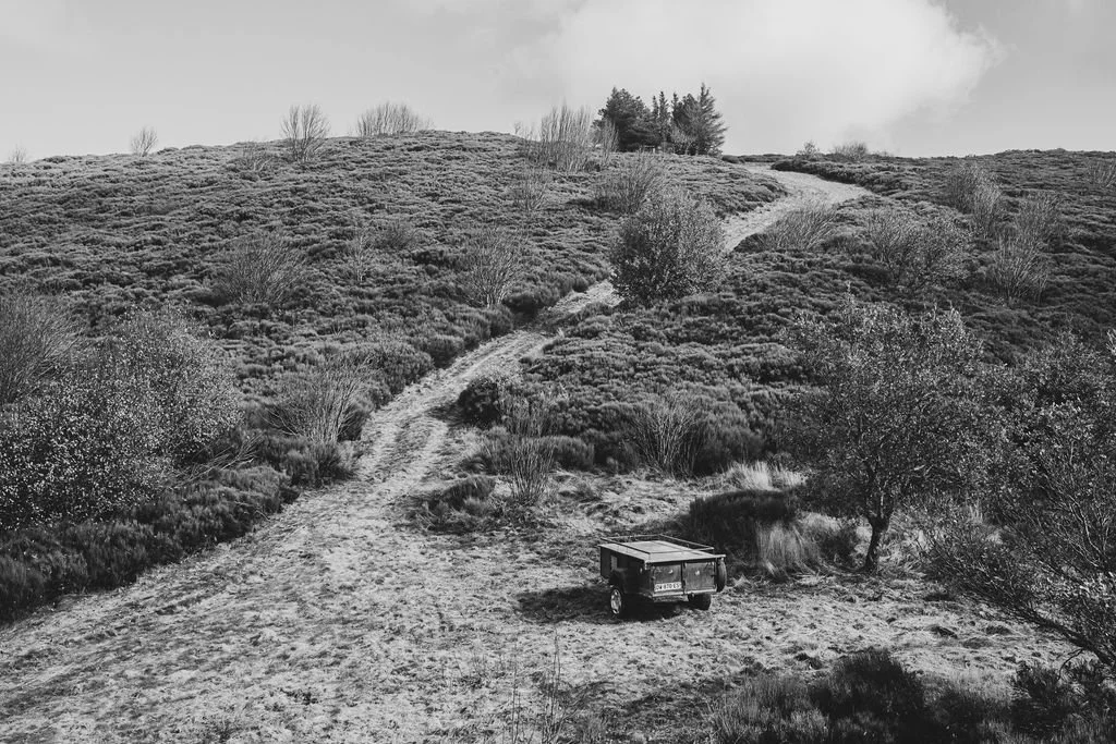 BoarHunting-41.jpg