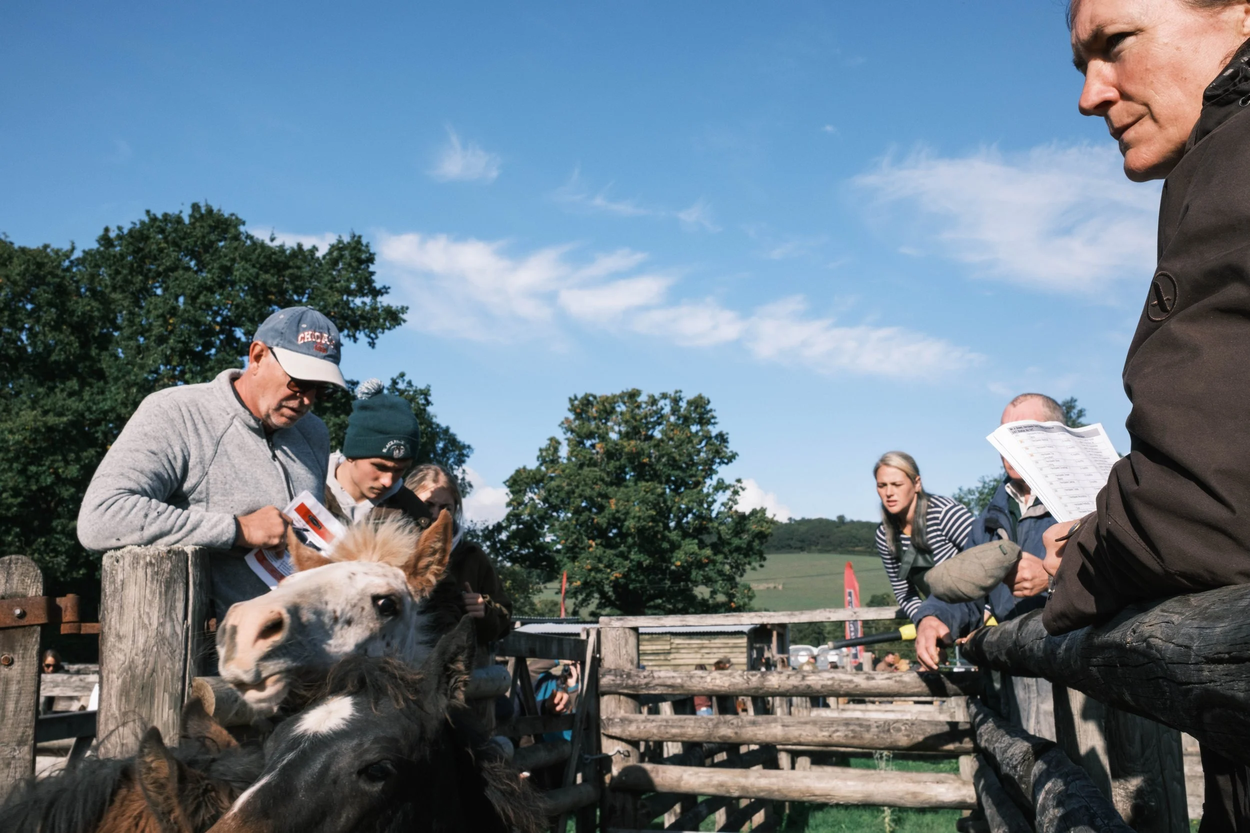 Pony Sale Chagford 2026 10 08-17.jpg
