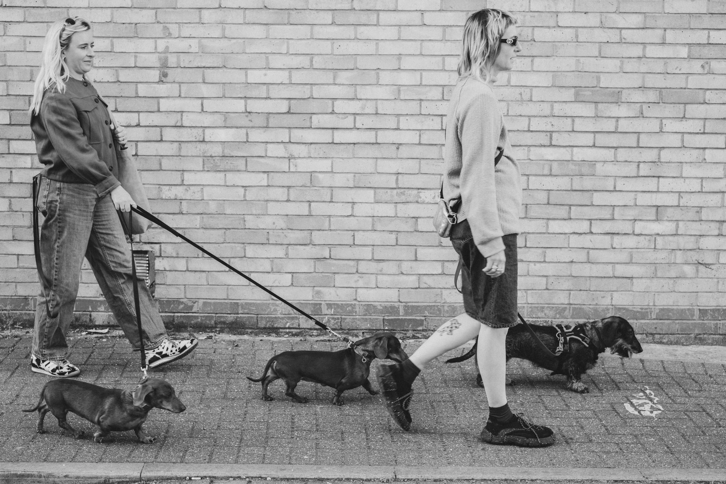 Holly,CharandthePups-102.jpg