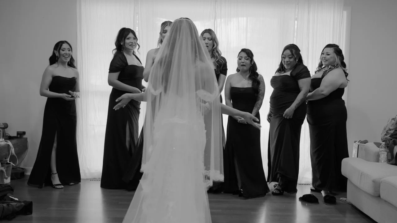 Maria &amp; Vito’s Chicago Wedding Film