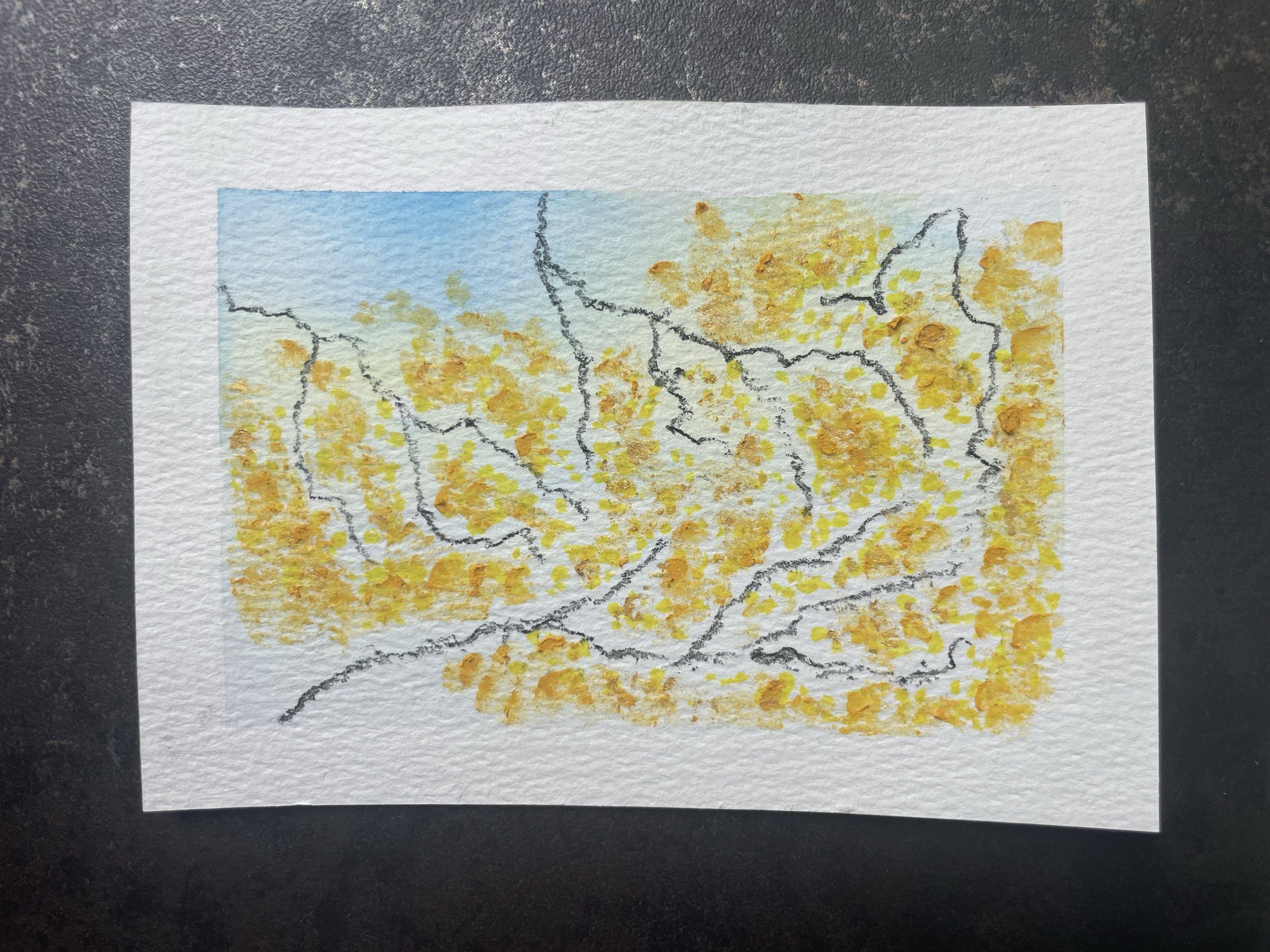 Bloom No. 10
Watercolour, oil pastel, and charcoal on watercolour postcard
11 x 15 cm
2026
To "Las Trumpetas de Nael" by Ibrahim Maalouf

Postcards from Bloom