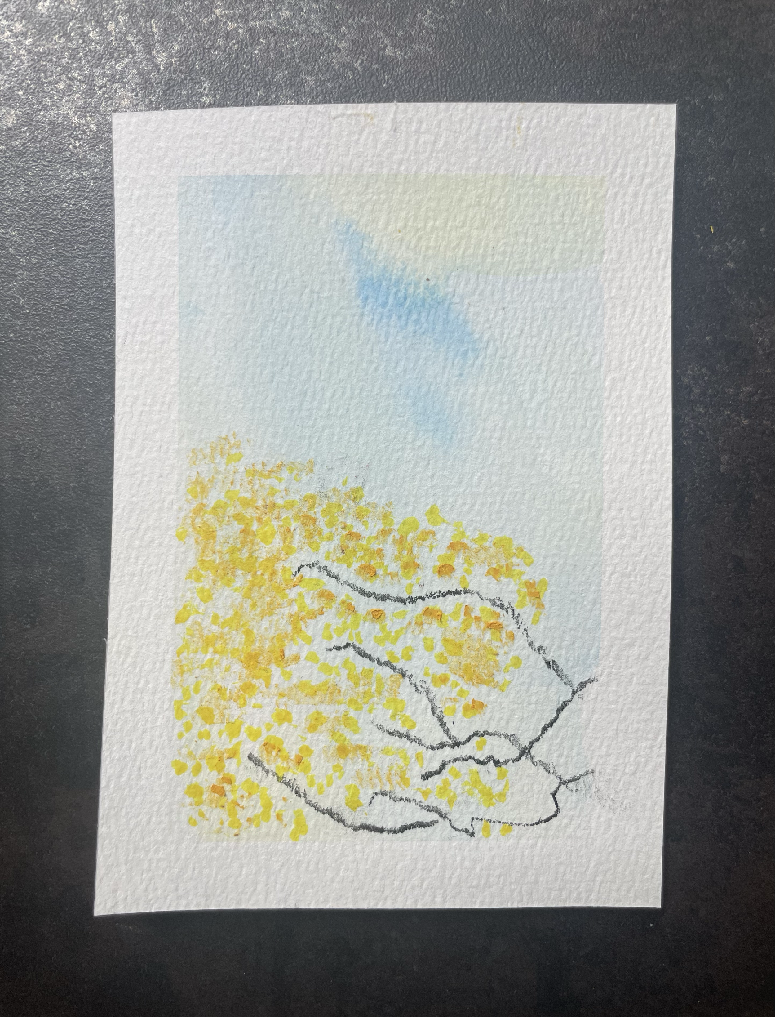 Bloom No. 12
Watercolour, oil pastel, and charcoal on watercolour postcard
11 x 15 cm
2026
To "Las Trumpetas de Nael" by Ibrahim Maalouf

Postcards from Bloom