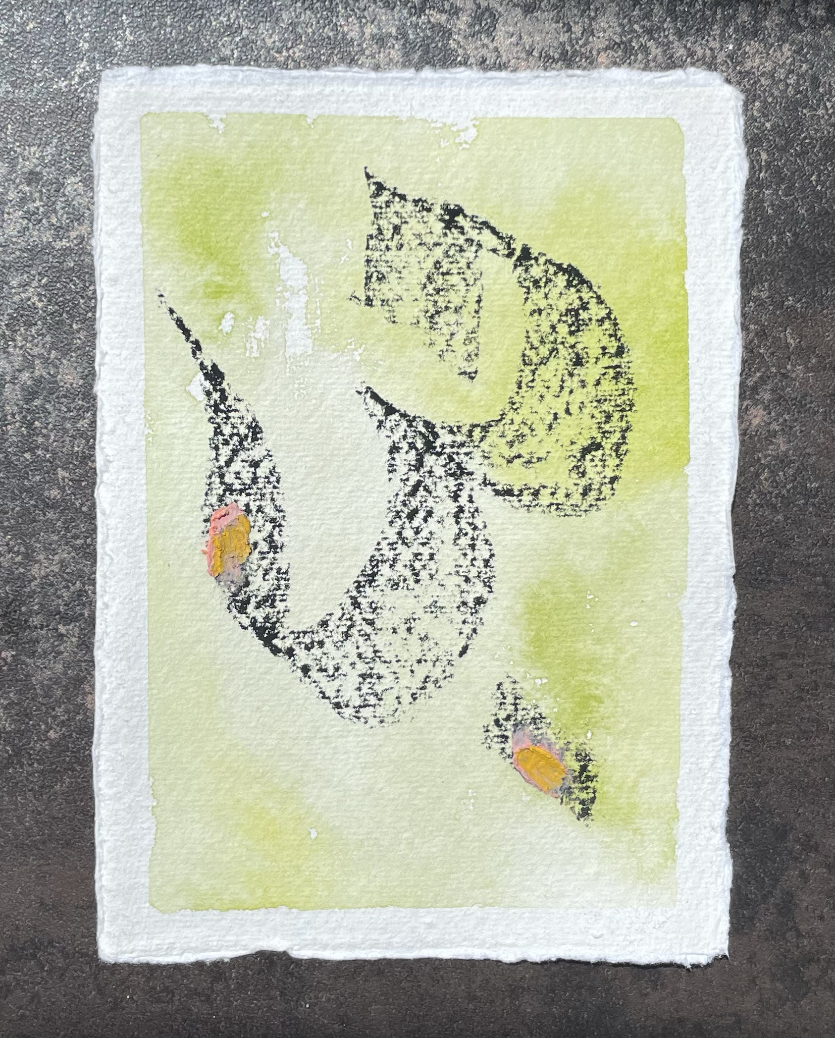 Trace No. 2
Charcoal and mixed media on cotton paper
11 × 15 cm, 2026

To "Le Pas du Chat Noir" by Anouar Brahem