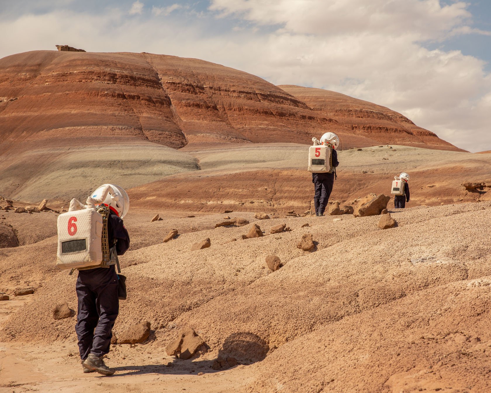 Case Study: Mars on Earth