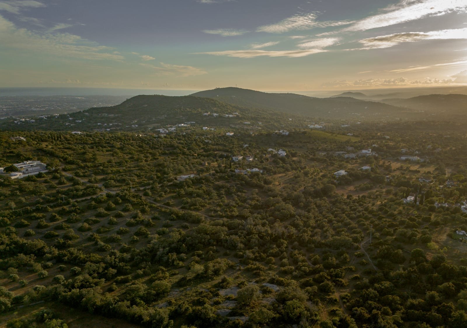 Terreno Monrepos.JPG