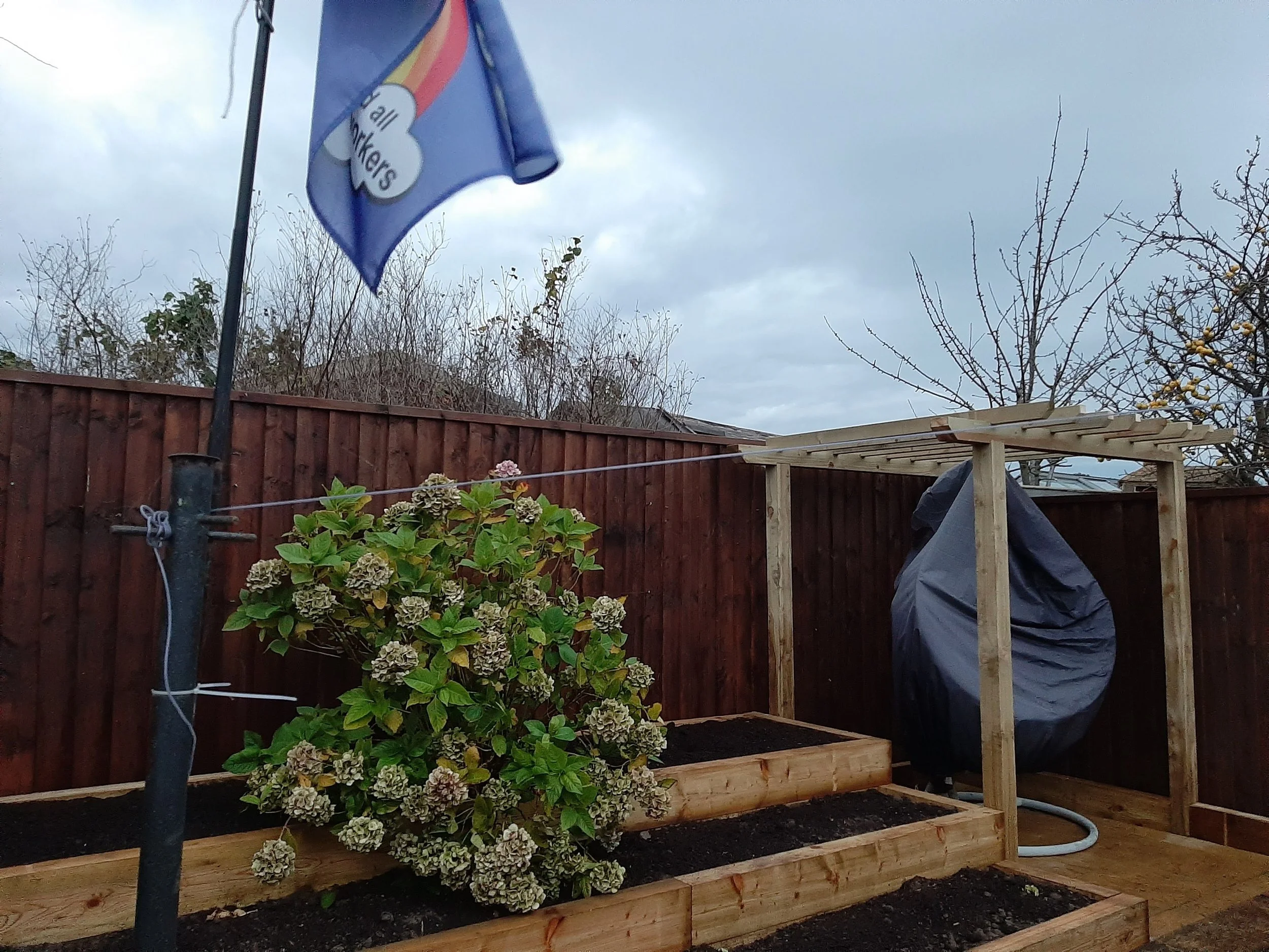 20201116_160756.jpg