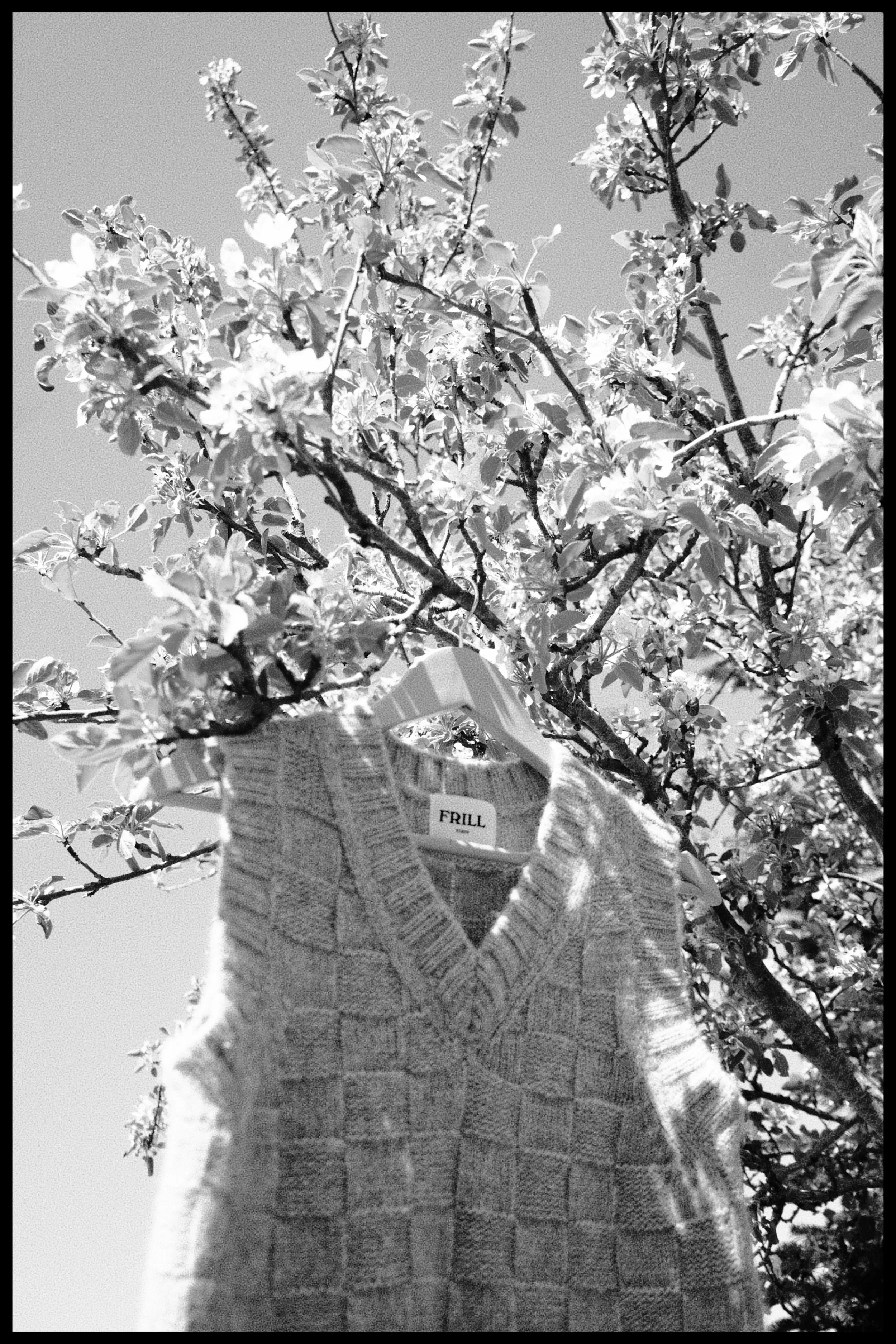 DSC03054.jpeg