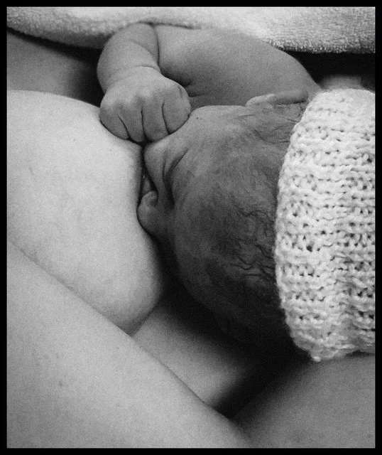 A newborn baby holding an adult's finger