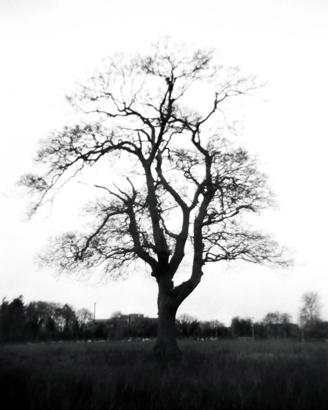 Untitled design - 12.jpeg