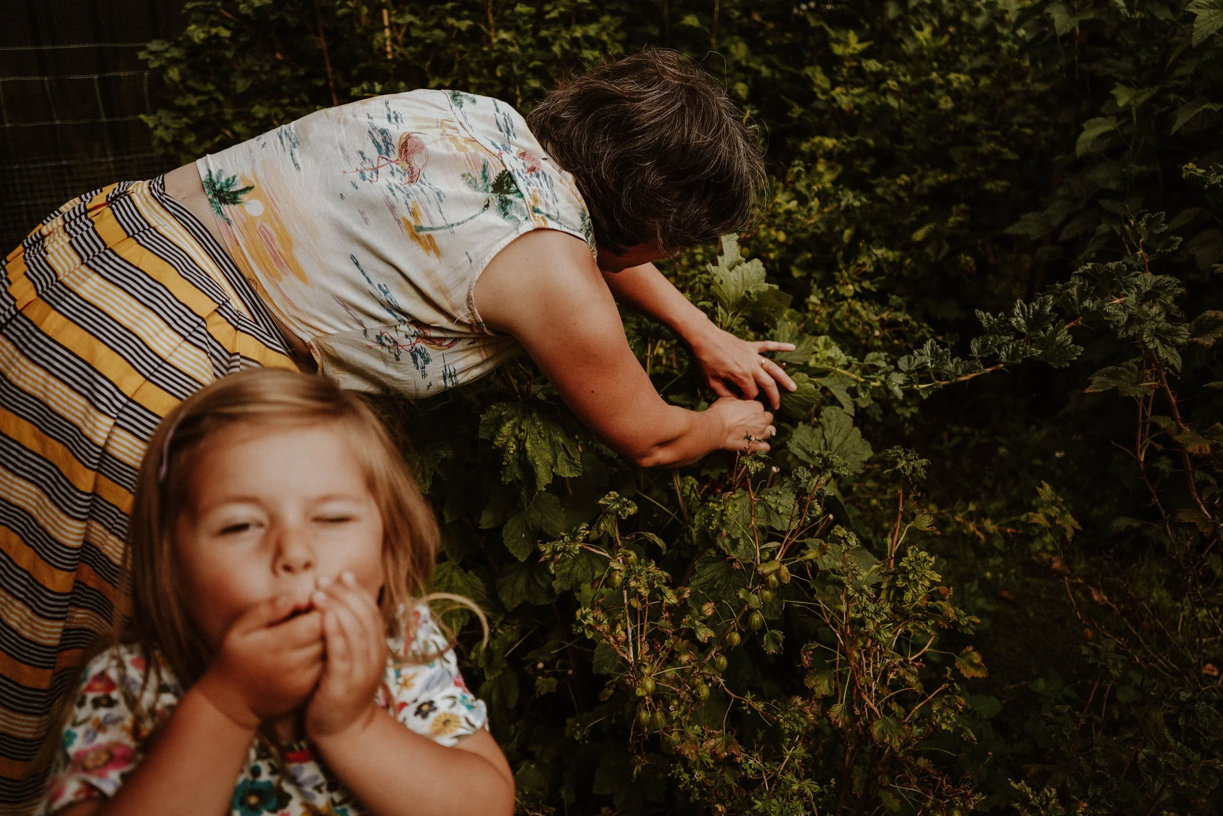 A woman planting or tending to plants or berries in a garden with green foliage, while a young girl with hair and a colorful dress looks on, smiling.