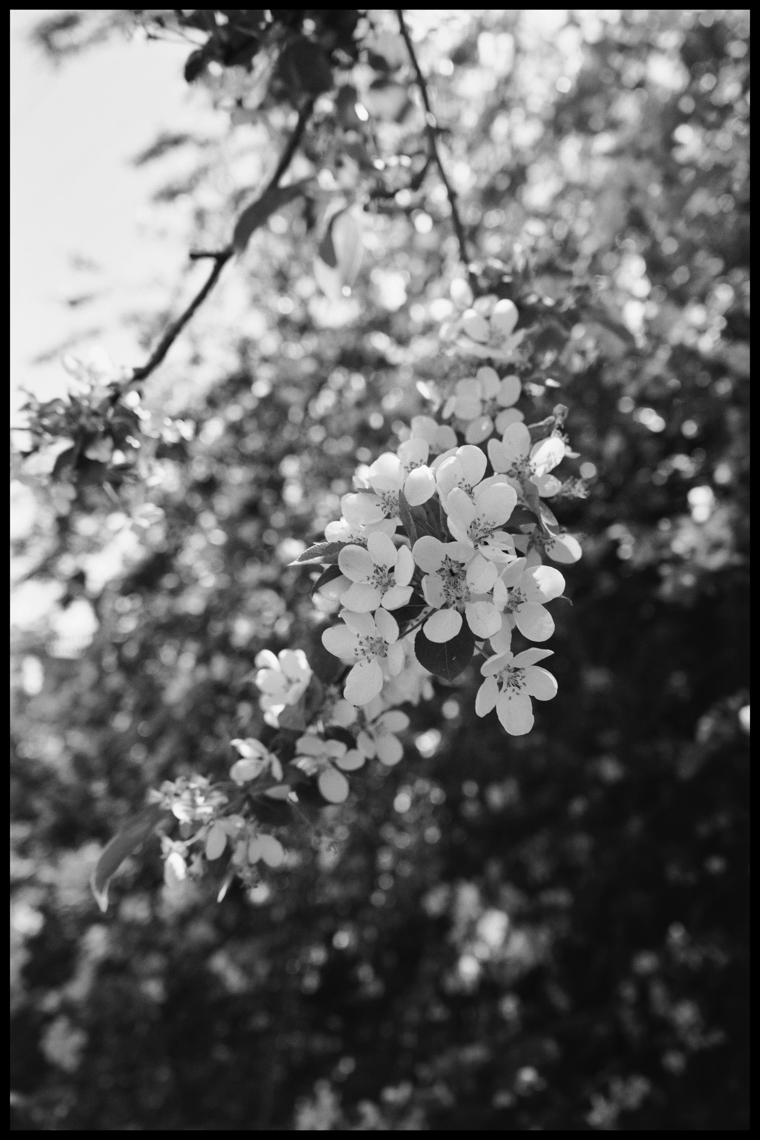 DSC03049.jpeg