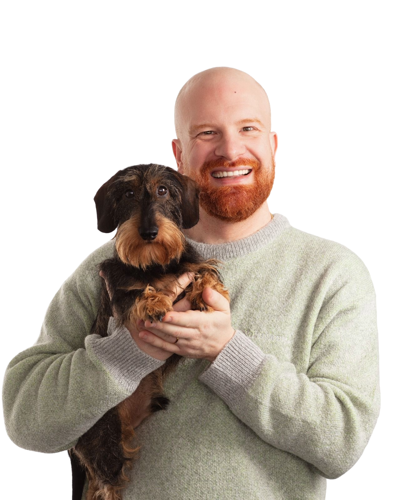 freelance communications consultant